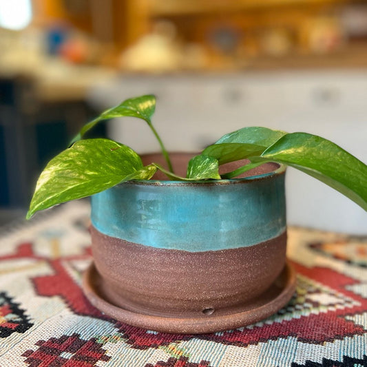 Copper Blue Planter - Jenny Gill